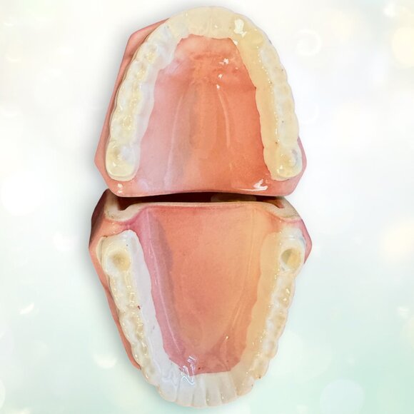 Hilarious Rare Vintage 1981 False Teeth Dentures Novalty Salt and Pepper Shakers - Picture 5 of 10